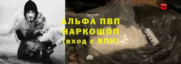 СК Абинск