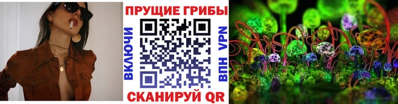 закладки  Среднеколымск  Псилоцибиновые грибы MAGIC MUSHROOMS 